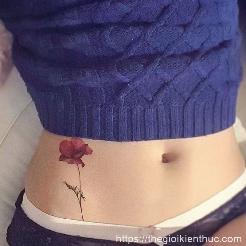 Hình xăm nghệ thuật tatoo mini bông hồng nhỏ ở eo đẹp nhất