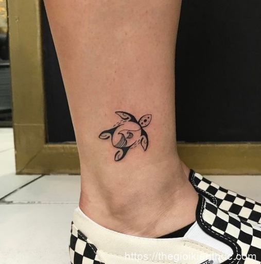 Hình xăm nghệ thuật tatoo mini con rùa đẹp nhất