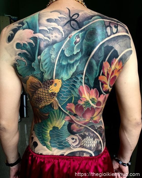 Hình ảnh xăm tattoo cá chép kín lưng đẹp và ý nghĩa nhất