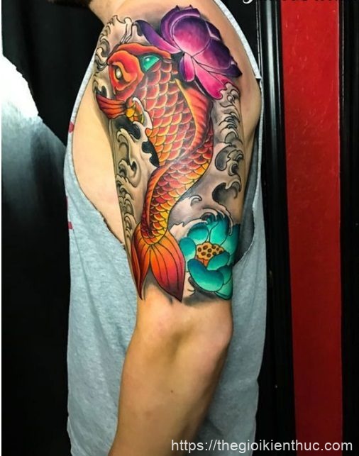 Hình ảnh xăm tattoo cá chép ao sen đẹp và ý nghĩa nhất